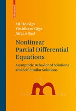 Nonlinear Partial Differential Equations Asymptotic Behavior Of Solutions And Selfsimilar Solutions 1st Edition Miho Giga