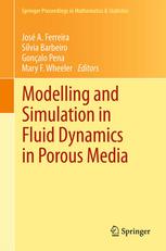 Modelling And Simulation In Fluid Dynamics In Porous Media 1st Edition V Girault