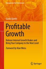 Profitable Growth Release Internal Growth Brakes And Bring Your Company To The Next Level 1st Edition Guido Quelle