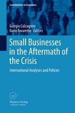 Small Businesses In The Aftermath Of The Crisis International Analyses And Policies 1st Edition Sergio Arzeni