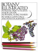 Botany Illustrated Introduction To Plants Major Groups Flowering Plant Families Janice Glimnlacy