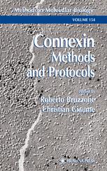Connexin Methods And Protocols 1st Edition Magali Thveniauruissy