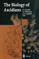 The Biology Of Ascidians 1st Edition Thomas G Honegger Monika Fglister Auth