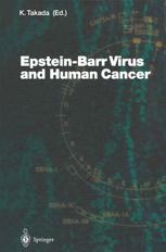 Epsteinbarr Virus And Human Cancer 1st Edition B Sugden E R Leight Auth