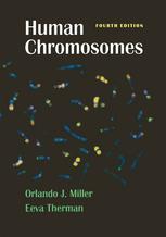 Human Chromosomes 4th Edition Orlando J Miller Eeva Therman Auth