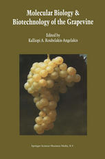 Molecular Biology Biotechnology Of The Grapevine P K Boss