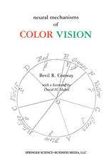 Neural Mechanisms Of Color Vision Doubleopponent Cells In The Visual Cortex 1st Edition Bevil R Conway Phd Auth