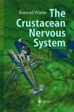 The Crustacean Nervous System 1st Edition Werner Rathmayer Christian Erxleben
