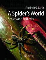 A Spiders World Senses And Behavior 1st Edition Friedrich G Barth Ann Biedermanthorson Translator