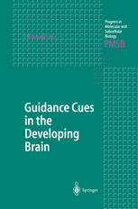 Guidance Cues In The Developing Brain 1st Edition M Juda N J Miloevi
