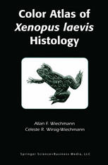 Color Atlas Of Xenopus Laevis Histology 1st Edition Allan F Wiechmann Phd