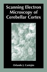 Scanning Electron Microscopy Of Cerebellar Cortex 1st Edition Orlando J Castejn Auth