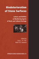 Biodeterioration Of Stone Surfaces Lichens And Biofilms As Weathering Agents Of Rocks And Cultural Heritage 1st Edition Larry Stclair