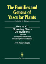 Flowering Plants Dicotyledons Lamiales Except Acanthaceae Including Avicenniaceae 1st Edition J W Kadereit Auth