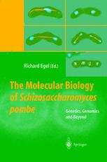 The Molecular Biology Of Schizosaccharomyces Pombe Genetics Genomics And Beyond 1st Edition Richard Egel Auth