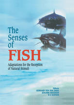 The Senses Of Fish Adaptations For The Reception Of Natural Stimuli 1st Edition Barbara I Evans Auth