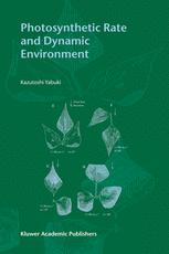 Photosynthetic Rate And Dynamic Environment 1st Edition Kazutoshi Yabuki Auth