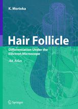Hair Follicle Differentiation Under The Electron Microscope An Atlas 1st Edition Kiyokazu Morioka Phd Auth