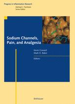 Sodium Channels Pain And Analgesia 1st Edition Joel A Black