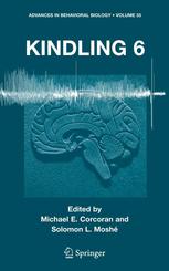 Kindling 6 1st Edition Margaret N Shouse John C Scordato Paul R Farber Auth