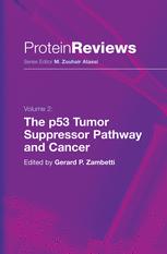 The P53 Tumor Suppressor Pathway And Cancer 1st Edition Arnold J Levine