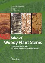 Atlas Of Woody Plant Stems Evolution Structure And Environmental Modifications 1st Edition Fritz Schweingruber Auth