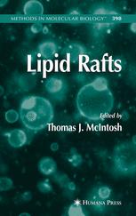 Lipid Rafts 1st Edition Thomas J Mcintosh Auth Thomas J Mcintosh Eds