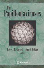 The Papillomaviruses 1st Edition George Klein Daniel Dimaio Auth