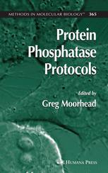 Protein Phosphatase Protocols 1st Edition Shirish Shenolikar Auth