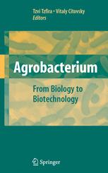 Agrobacterium From Biology To Biotechnology 1st Edition Lon Otten