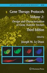 Gene Therapy Protocols Design And Characterization Of Gene Transfer Vectors 3rd Edition Mara De Las Mercedes Segura