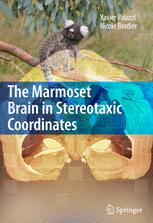 The Marmoset Brain In Stereotaxic Coordinates 1st Edition Xavier Palazzi