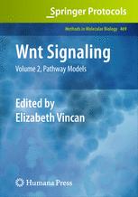 Wnt Signaling 1st Edition Jenifer C Croce David R Mcclay Auth