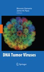 Dna Tumor Viruses 1st Edition Ellen Fanning Xiaorong Zhao Xiaohua Jiang Auth