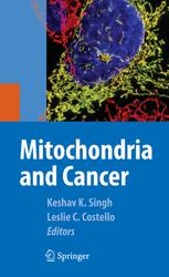 Mitochondria And Cancer 1st Edition Kjerstin M Owens J S Modicanapolitano