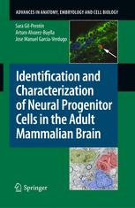 Identification And Characterization Of Neural Progenitor Cells In The Adult Mammalian Brain 1st Edition Jose Manuel Garciaverdugo