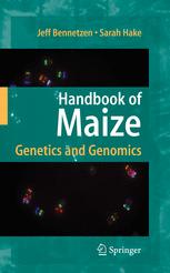 Handbook Of Maize Genetics And Genomics 1st Edition Ed Coe Auth
