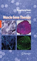 Muscle Gene Therapy 1st Edition Bruce F Smith Roberta Wrighten Auth
