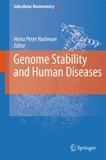 Genome Stability And Human Diseases 1st Edition Robert P Fisher Auth