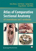 Atlas Of Comparative Sectional Anatomy Of 6 Invertebrates And 5 Vertebrates 1st Edition Dr Gza Zboray