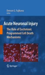 Acute Neuronal Injury The Role Of Excitotoxic Programmed Cell Death Mechanisms 1st Edition Denson G Fujikawa Auth