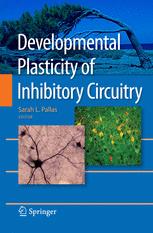 Developmental Plasticity Of Inhibitory Circuitry 1st Edition Sarah L Pallas Auth