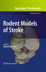 Rodent Models Of Stroke 1st Edition Pauline Patak Dirk M Hermann Auth