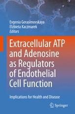 Extracellular Atp And Adenosine As Regulators Of Endothelial Cell Function Implications For Health And Disease 1st Edition David Erlinge Auth