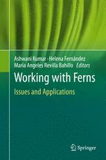 Working With Ferns Issues And Applications 1st Edition H Fernndez Auth