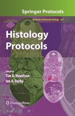 Histology Protocols 1st Edition Tim D Hewitson Belinda Wigg
