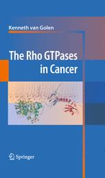 The Rho Gtpases In Cancer 1st Edition Ellen V Stevens Channing J Der Auth