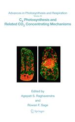 C4 Photosynthesis And Related Co2 Concentrating Mechanisms 1st Edition Agepati S Raghavendra