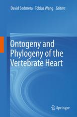 Ontogeny And Phylogeny Of The Vertebrate Heart 1st Edition B R Mcmahon Auth