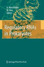 Regulatory Rnas In Prokaryotes 1st Edition Professor Dr Wolfgang R Hess
